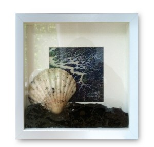 14_Januar_shell